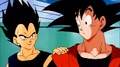 VegetaAndGoku