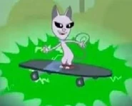 Señor gatito1