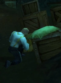 StormwindInvestigator