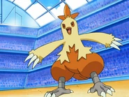 May Combusken