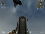USAS12 BFP4F sights