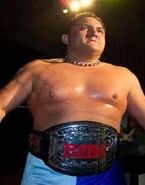 Samoa+joe+roh