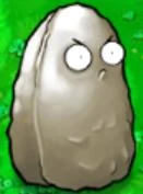 Tall-nut