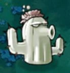 Cactus123.jpg (4 KB)
