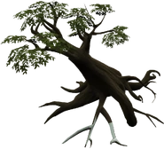 Season Tree