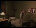 Dobbyonthebed.jpg