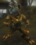 Assassin bob
