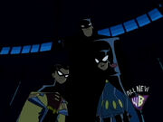 Bat-Family (The Batman)