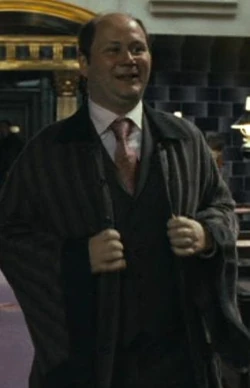 Minister for Magic Support Staff official