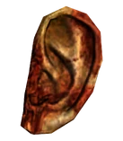 Legion ear