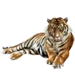 Item sumatrantiger 01.png