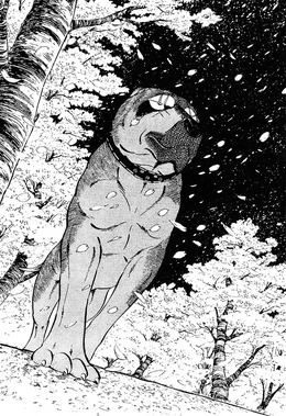 Benizakura111