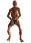 Feral ghoul