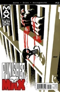 Punishermax Vol 1 12