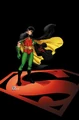 Robin Tim Drake 0025.jpg