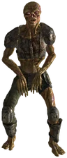 http://images4.wikia.nocookie.net/__cb20110427202641/fallout/images//thumb/6/6c/Ghoul_Roamer.png/96px-Ghoul_Roamer.png