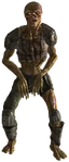 Ghoul Roamer