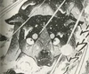 Takeshi grrr