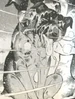 Takeshi lifeless