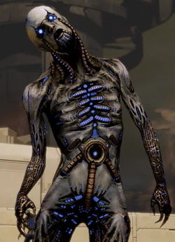 Husk