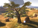 800px-Standoff Tree