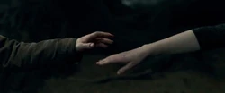 Harry reaching Lily