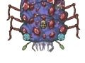 Beetle King Death Bug