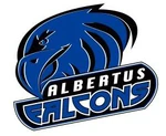 Albertus Magnus Falcons.JPG
