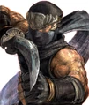 Ryu-hayabusa1