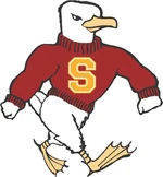 Salisbury Sea Gulls.jpg