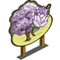 Purple Magnolia Tree