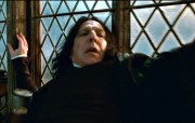 180px-Dhsnape