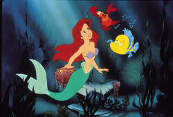 THe little mermaidFriends