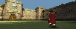 Quidditch Training Pitch