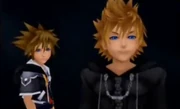 Sora Roxas