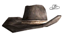 Sheriffs hat