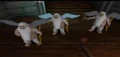 Cupids.jpg