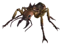Giant soldier ant