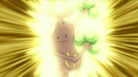 EP594 Sudowoodo usando doble filo