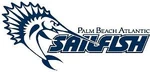 Sailfish
