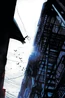 Batman #648}} Textless