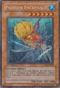 CraniumFish-TAEV-FR-ScR-1E