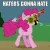 HATERS