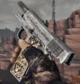 Hhpistol.jpg