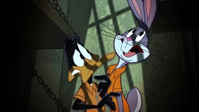 Looney103-4-600x337