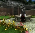 Hagrid's garden.jpg