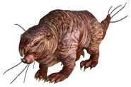 Mole rat FO3