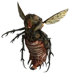 Bloatfly