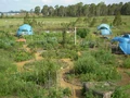 Thumbnail for version as of 01:20, May 15, 2011