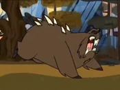 Wooly beaver